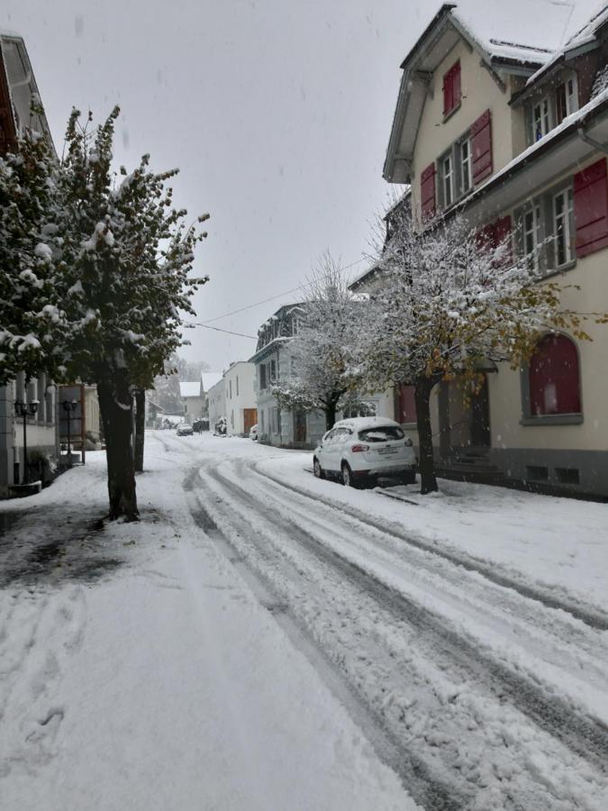Ferienwohnung Rothorn Meiringen Dış mekan fotoğraf
